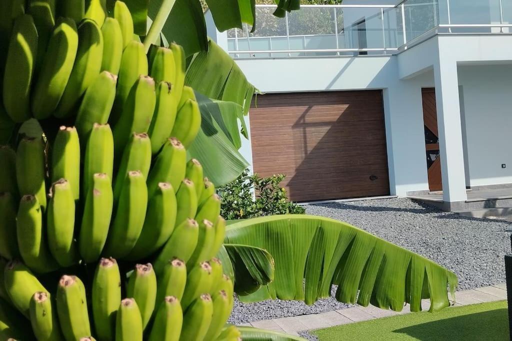 O Pomar - A Quiet Sunny Place With Amazing Sea Views Paul do Mar  Esterno foto